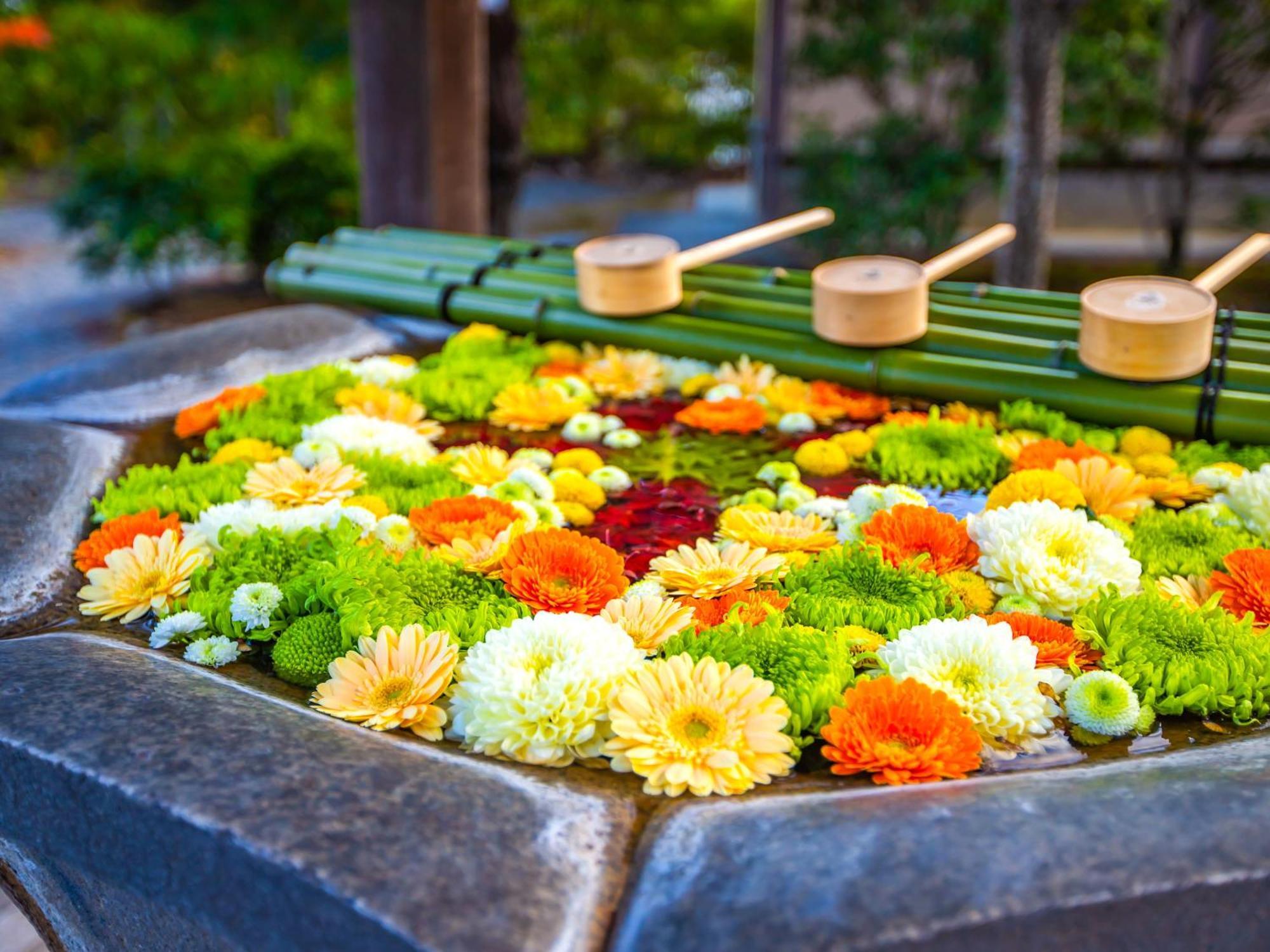 Hotel Eph Kyoto Extérieur photo